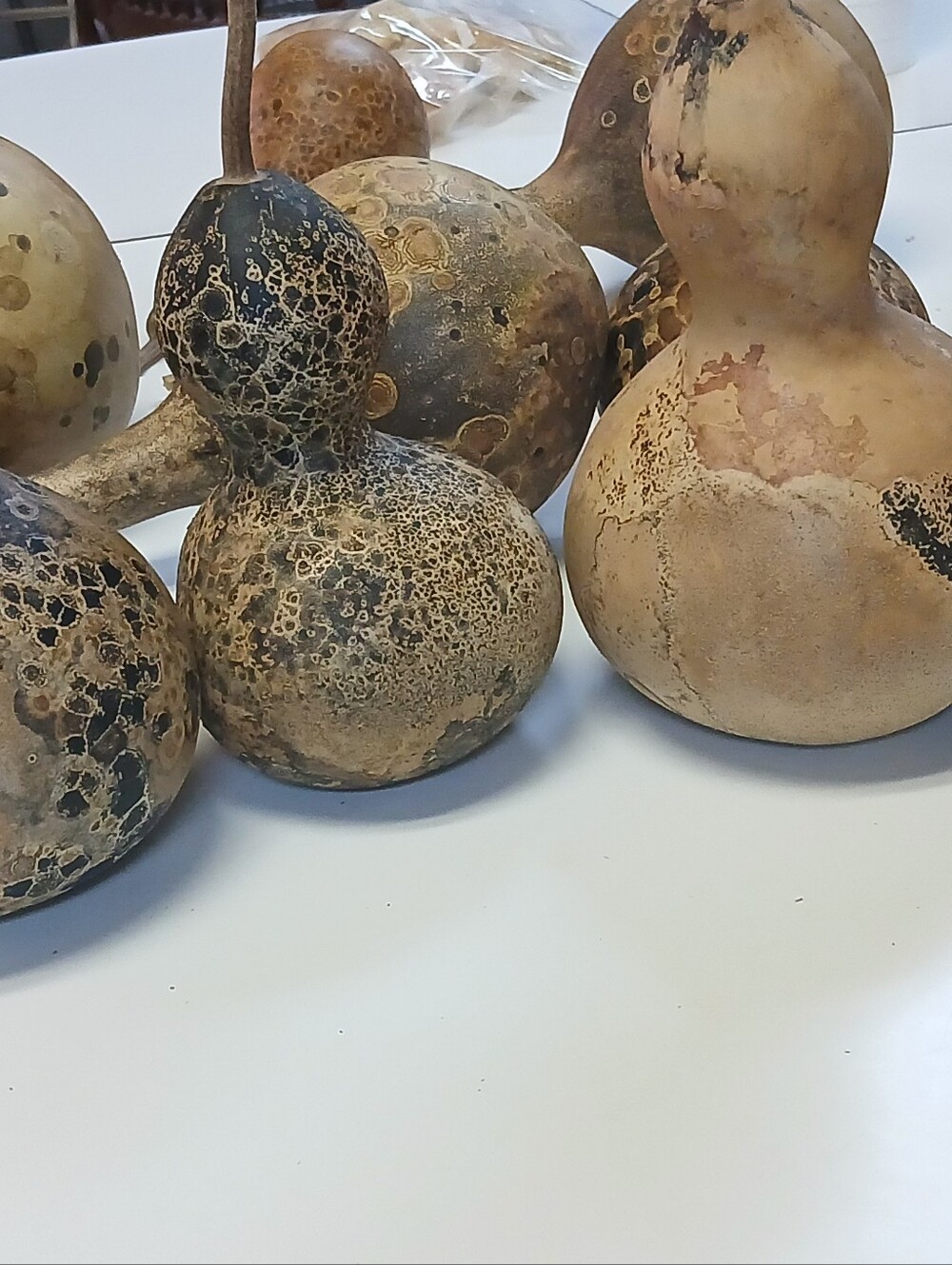 Decorative Natural Dried Gourds - Beige and Brown Home Art - Picture 10 of 10